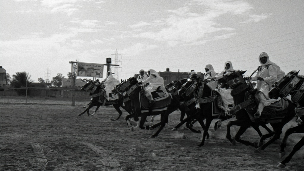 Outside Tripoli. Horse racing